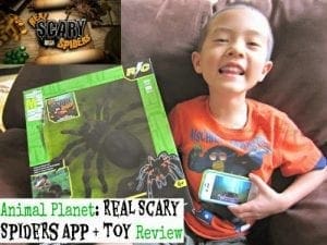 Animal planet real scary spiders app