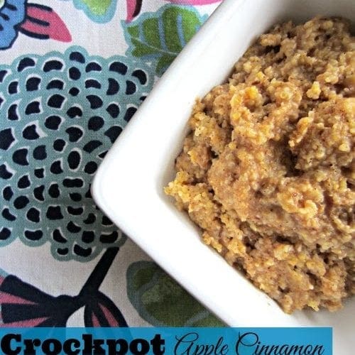 Crockpot apple cinnamon hot cereal recipe