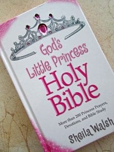 God's little princess bible review