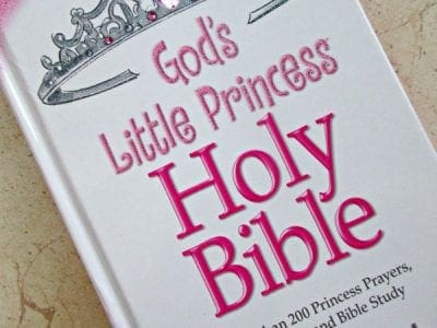 God's little princess bible review