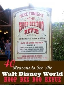 Hoop Dee Doo Review