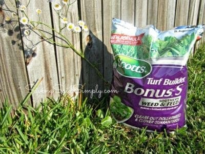 Scotts Bonus S review
