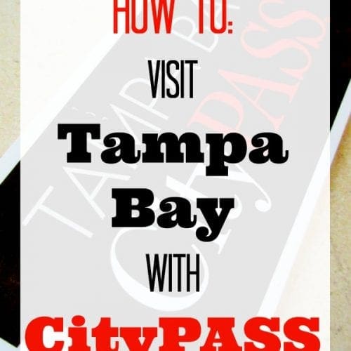 How to visit Tampa Bay with CityPass