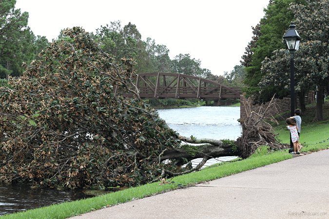 What to Expect When You Stay at a Disney Hotel During a Hurricane - Raising Whasians Hurricane Disney hotel tips - Would you evacuate to a Disney Hotel during a Hurricane? Here's what happened when we stayed at a Walt Disney World Resort for Hurricane Irma, MAGIC - Florida hurricane options for families at Disney - #Disney #DisneyHotel #HurricanePreparation #Travel