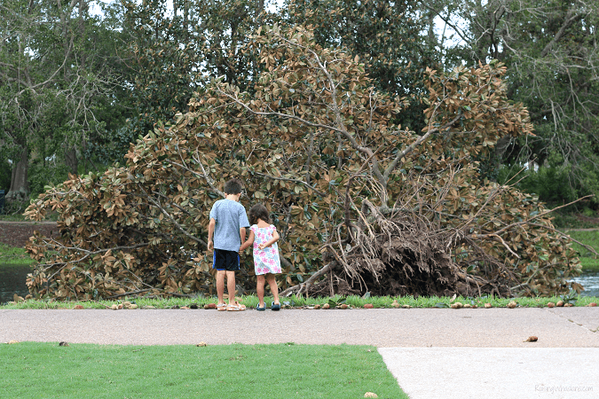 What to Expect When You Stay at a Disney Hotel During a Hurricane - Raising Whasians What to expect at Disney hotel during hurricane