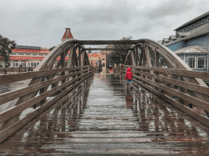 What to expect when you stay at a Disney hotel during a hurricane
