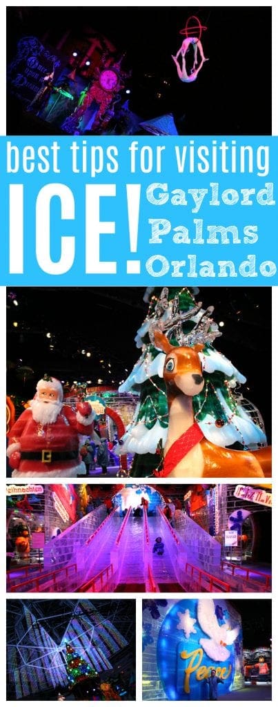 Best tips for visiting Gaylord palms ice