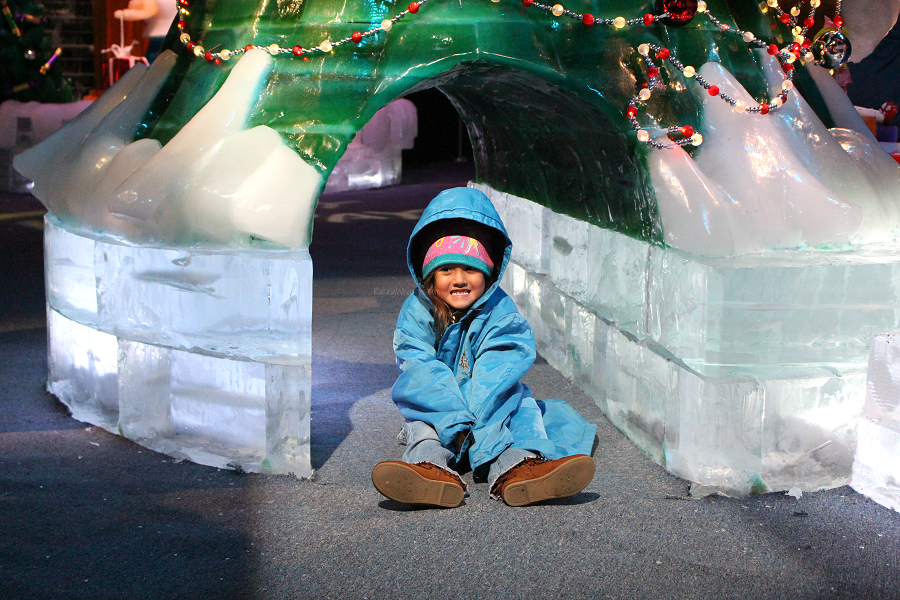 Gaylord palms ice best tips