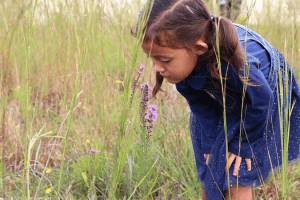 Things preschoolers need to be the best learners