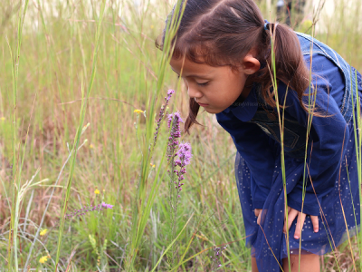 Things preschoolers need to be the best learners