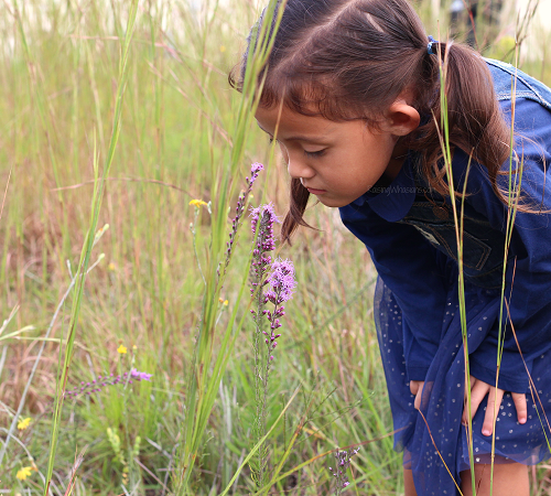 Things preschoolers need to be the best learners
