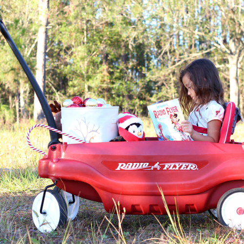 Personalized radio flyer book