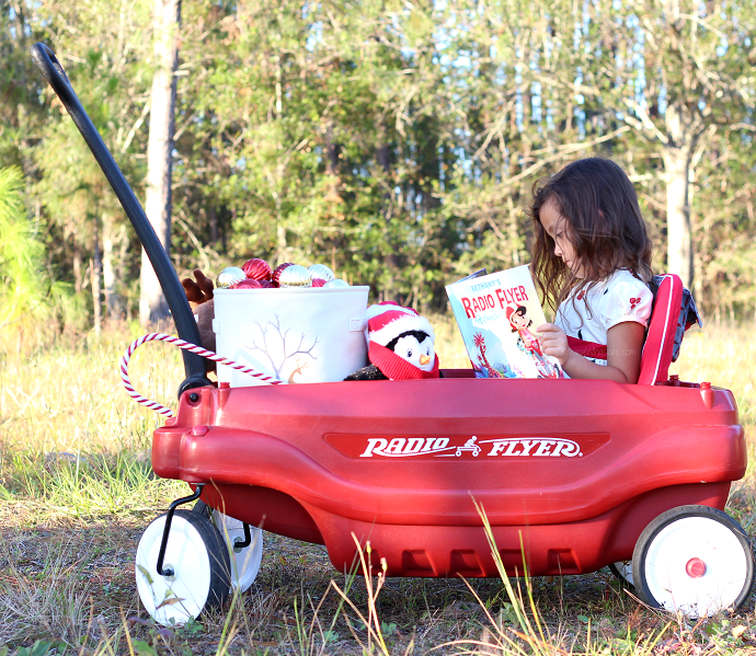 Personalized radio flyer book