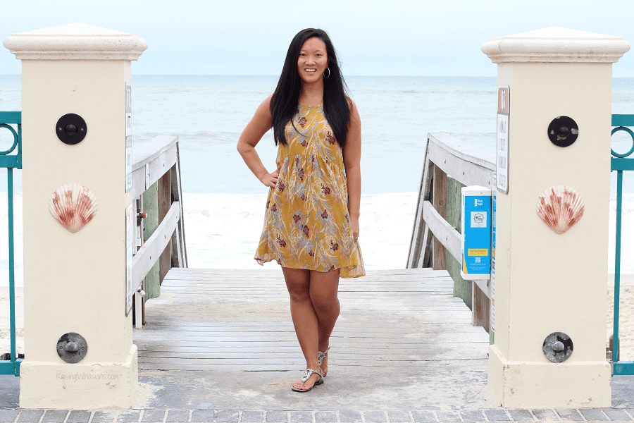 2017 blogger reflection