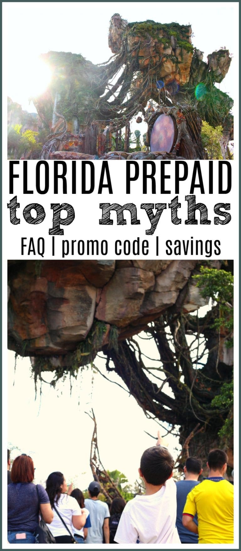 2019 Florida Prepaid Promo Code New Open Enrollment Period Raising