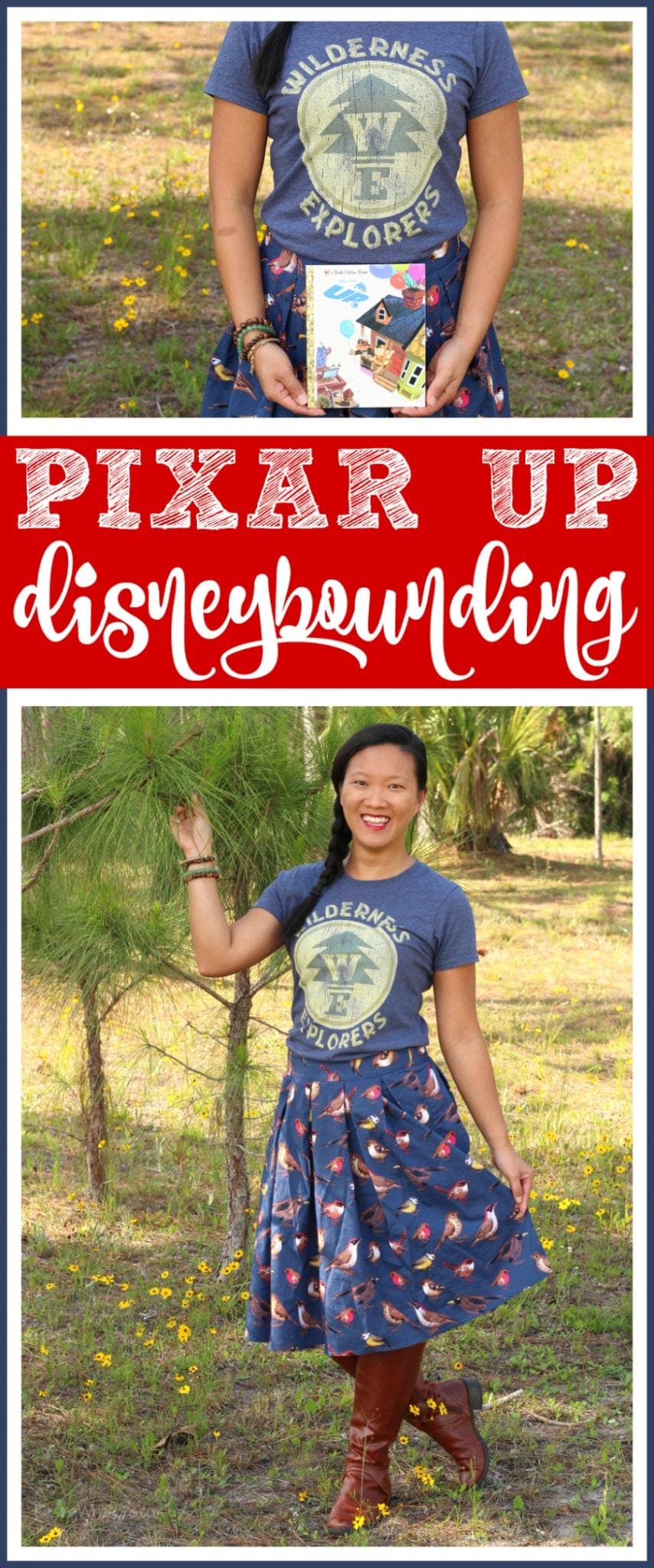 Disney Pixar up disneybounding