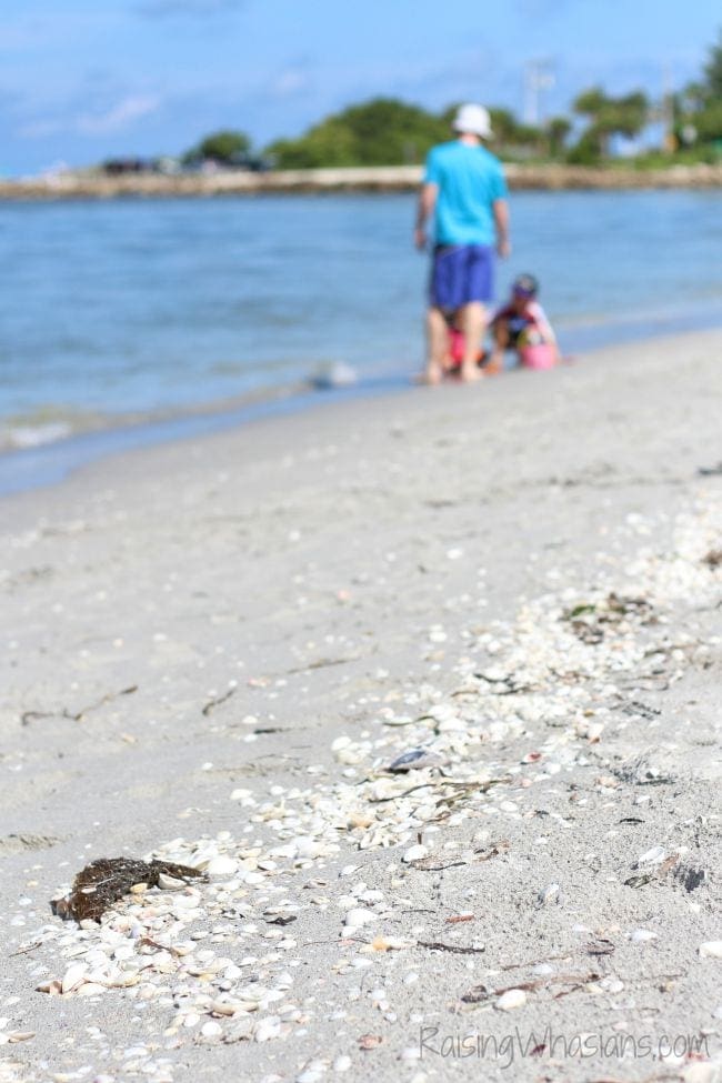 Easy Florida getaway ideas Easy Florida getaway ideas