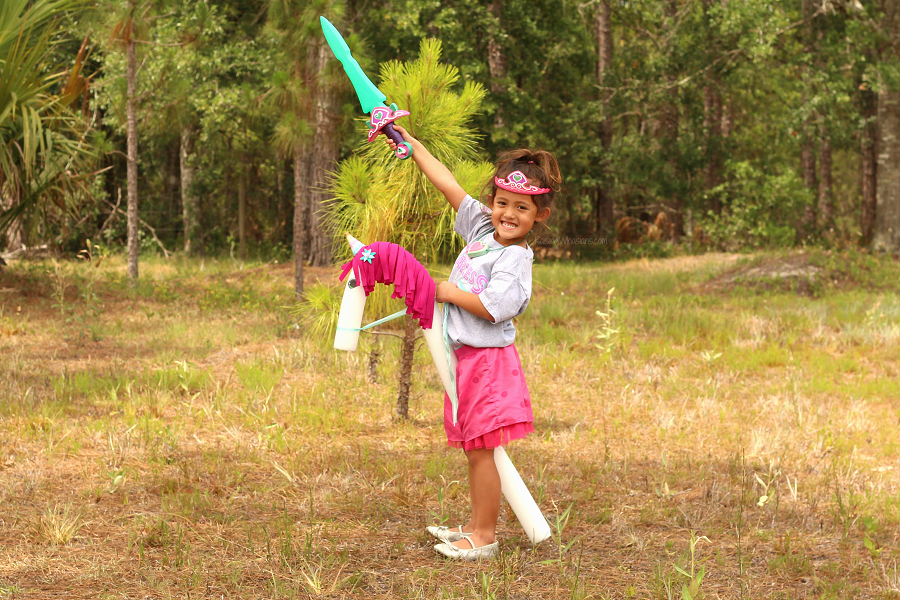 Nella the princess knight party idea