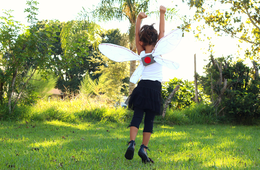 Ant-man and the wasp diy Ant-man and the wasp diy