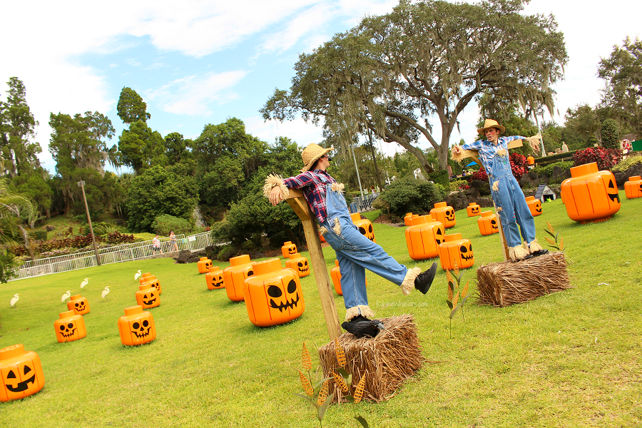 Brick or treat what to bring