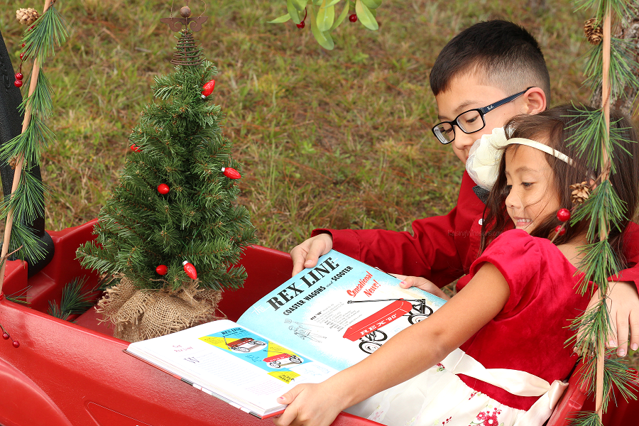 Radio flyer Christmas gift idea
