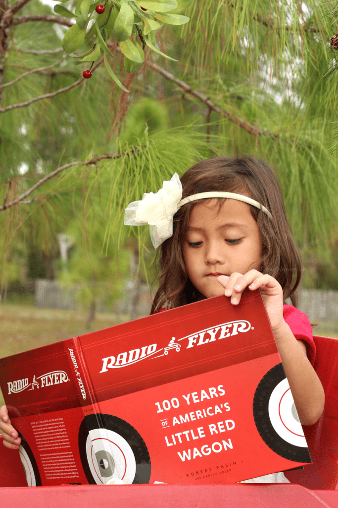 Radio flyer little red wagon book