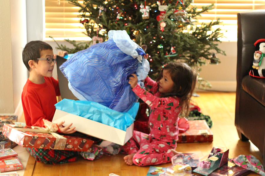 Holiday stress tips Holiday stress tips