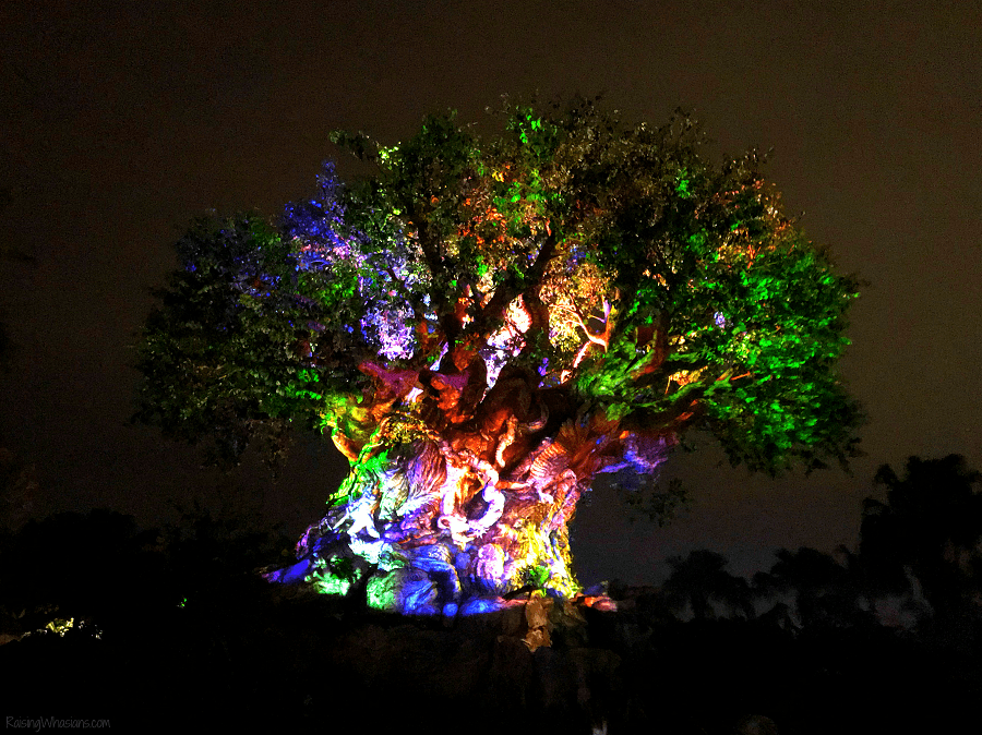 Disney After Hours at Animal Kingdom | Tips for Parents - Raising Whasians