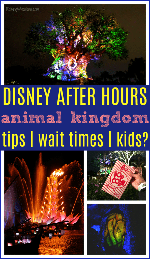 Disney after hours best tips Disney after hours best tips