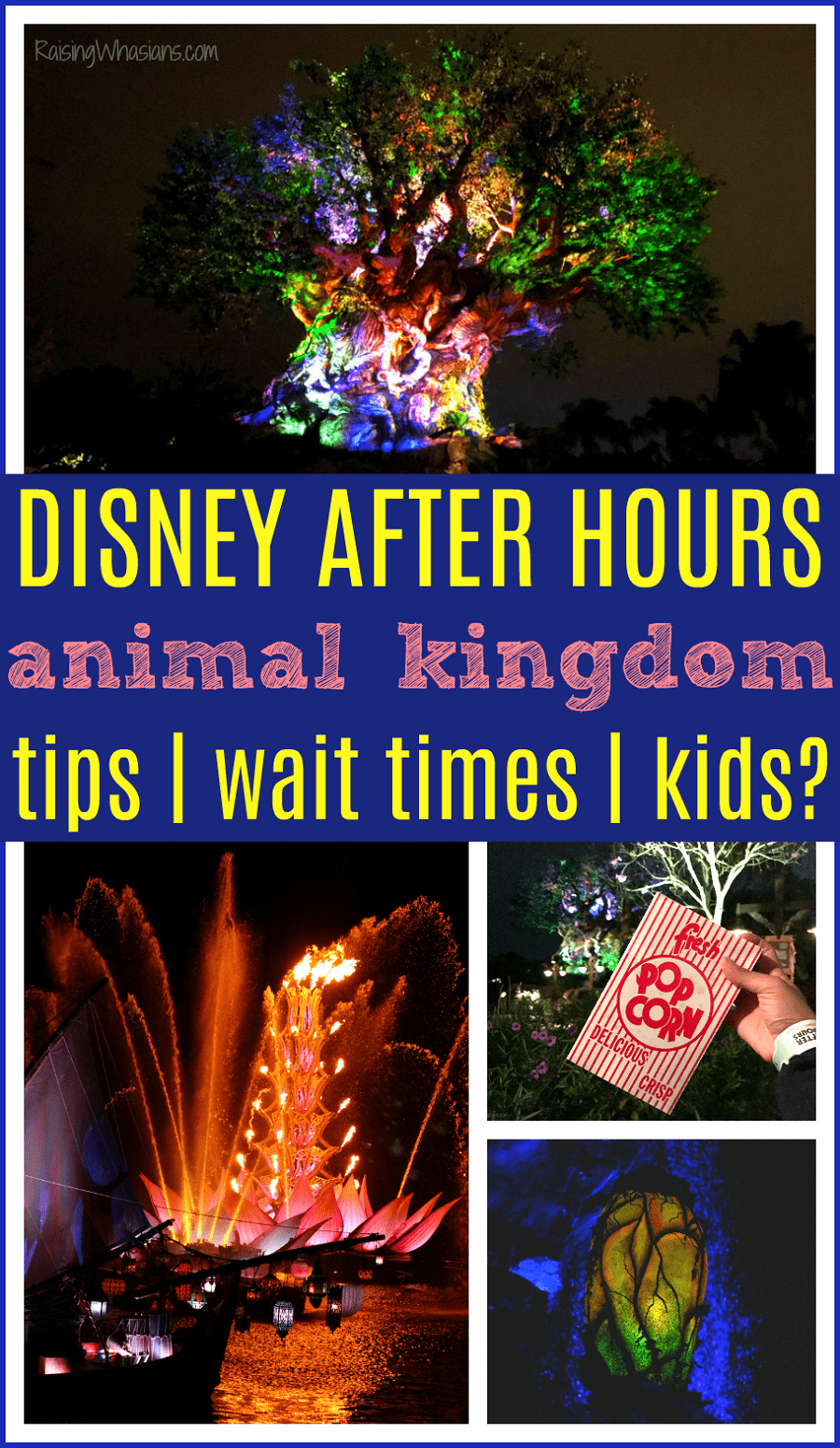Disney after hours best tips Disney after hours best tips