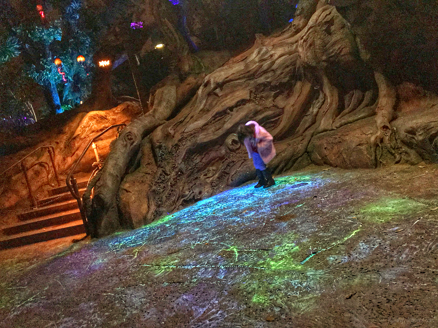 Pandora disney after hours Pandora disney after hours