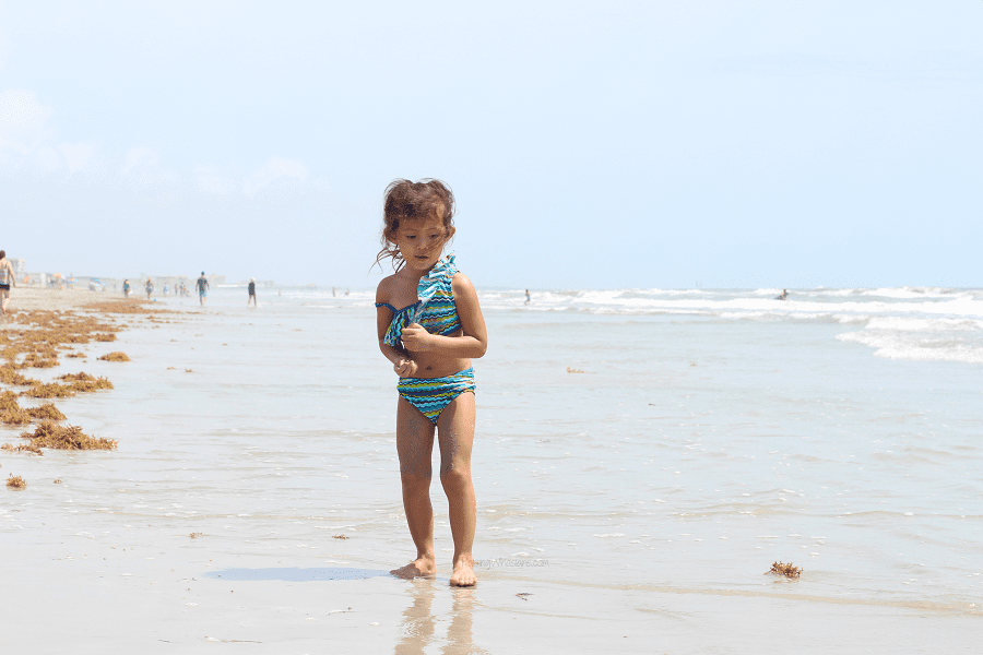 2019 Florida 529 savings plan code 2019 Florida 529 savings plan code