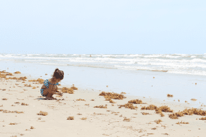 2019 Florida 529 savings plan promo