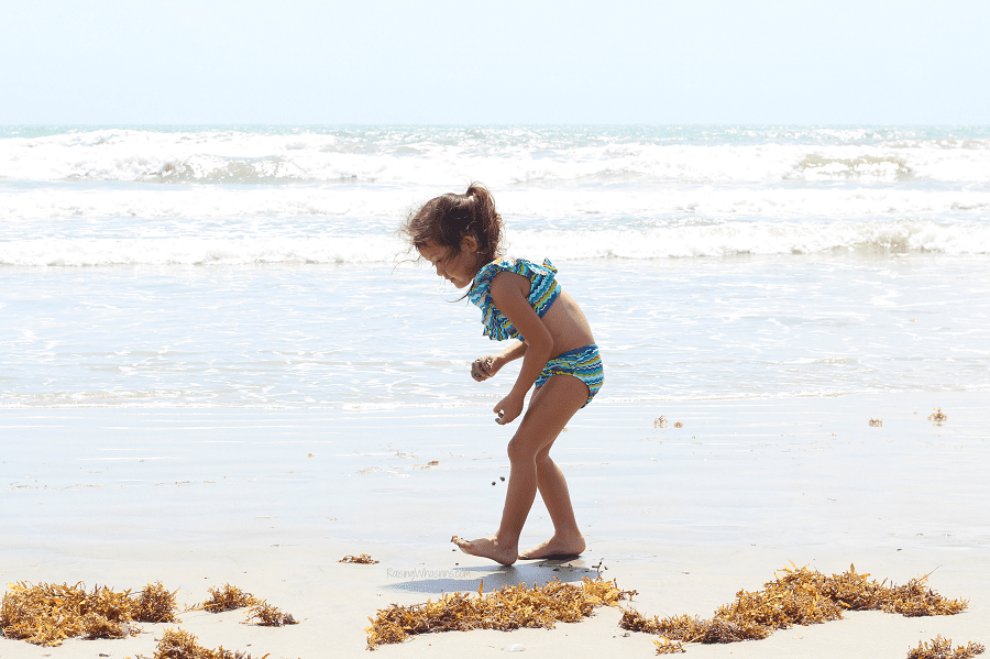Florida 529 savings plan promo code 2019 Florida 529 savings plan promo code 2019