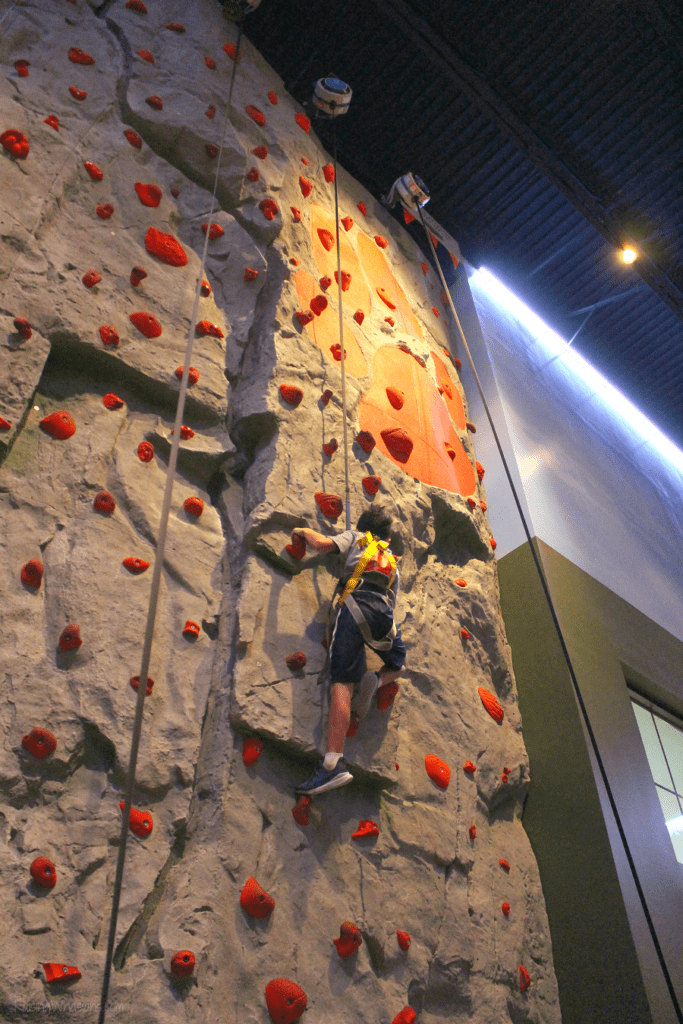 50+ Things to Do at Great Wolf Lodge for the Ultimate Vacation