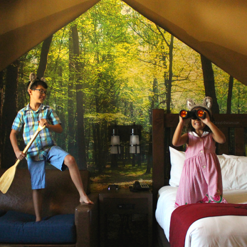 Great wolf lodge tips for families