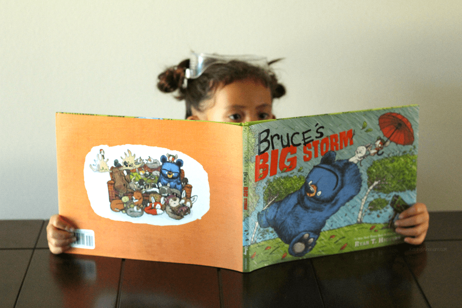 Bruce's big storm book review