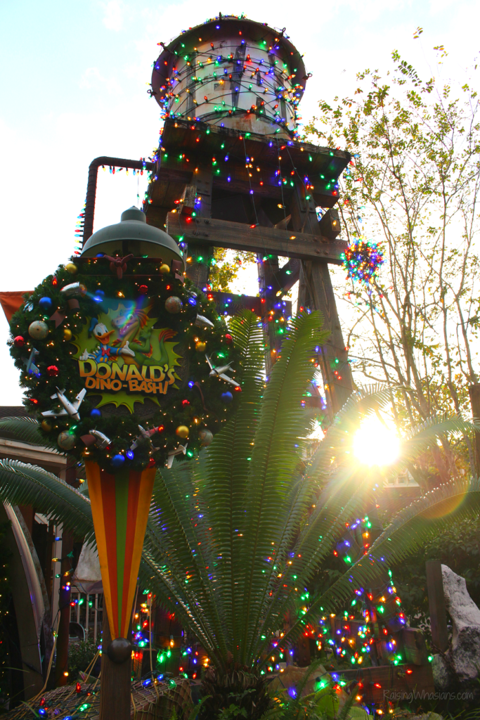 Animal kingdom best Christmas lights Animal kingdom best Christmas lights