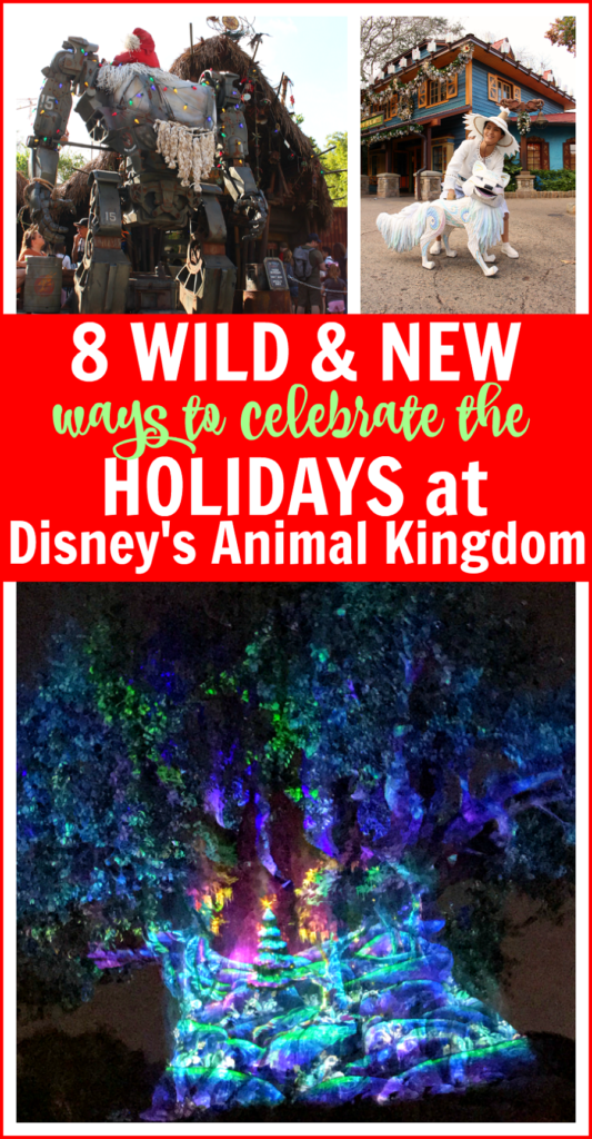 Best animal kingdom holidays