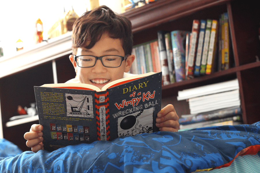 Diary of a wimpy kid wrecking ball book review