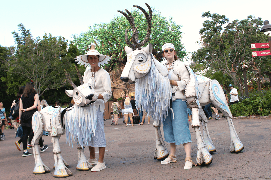 Puppets animal kingdom Puppets animal kingdom