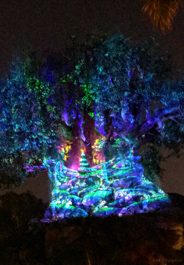 Tree of life holiday show Tree of life holiday show