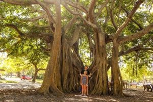 2023 Florida 529 savings plan promo code