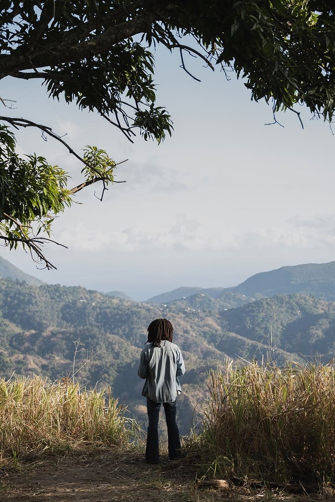 Bob Marley: One Love review