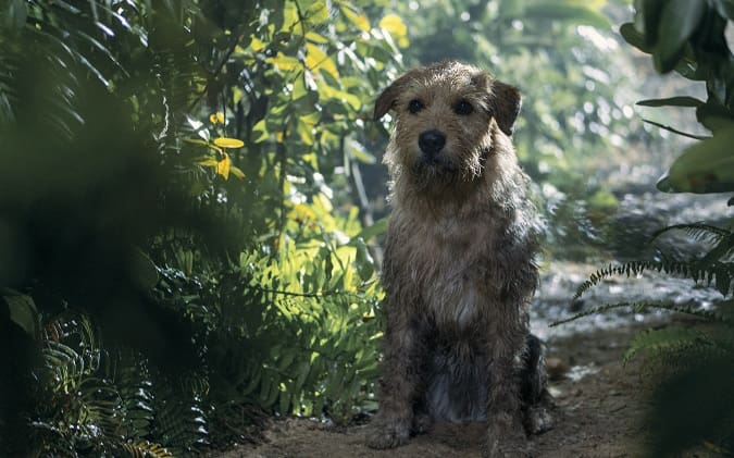 Arthur the King age rating for kids