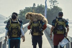 Arthur the King movie review for kids