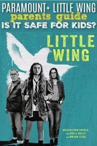 Little wing review for parents