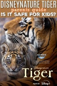 Parents guide Disneynature Tiger 2024